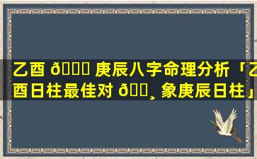 乙酉 🕊 庚辰八字命理分析「乙酉日柱最佳对 🕸 象庚辰日柱」